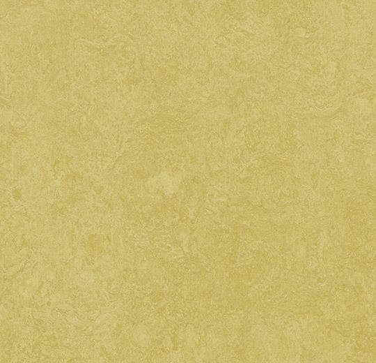 Натуральный линолеум 3259 Mustard (Forbo Marmoleum Fresco)