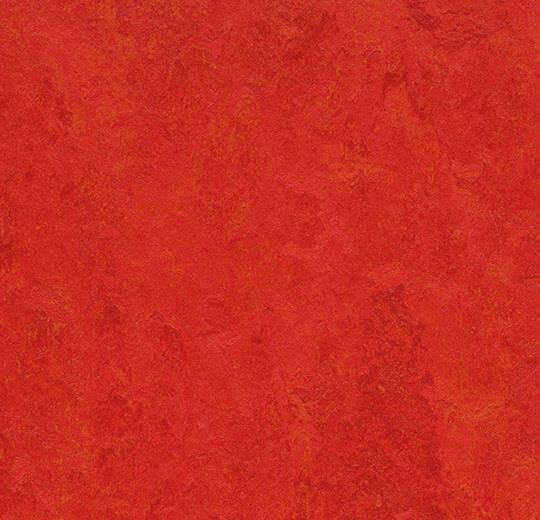  Натуральный линолеум 3131 scarlet (Forbo Marmoleum Fresco), м²