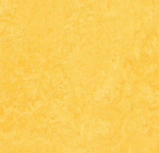  Натуральный линолеум 3251 lemon zest (Forbo Marmoleum Fresco), м²