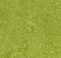 Натуральный линолеум 3247 Green (Forbo Marmoleum Fresco)