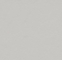 Натуральный линолеум 3369 Titanium (Forbo Marmoleum Walton)