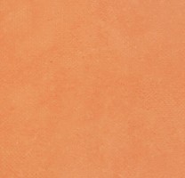 Линолеум 72404 (Forbo Emerald Standart)