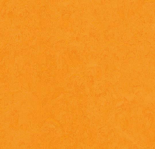  Натуральный линолеум 3262 marigold (Forbo Marmoleum Fresco), м²