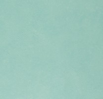 Линолеум 72408 (Forbo Emerald Standart)