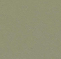 Натуральный линолеум 3355 Rosemary Green (Forbo Marmoleum Walton)