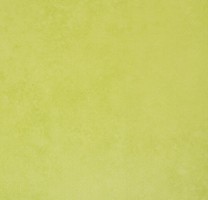 Линолеум 72413 (Forbo Emerald Standart)