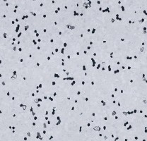 Линолеум Forbo Sphera EC 450007 grey sky