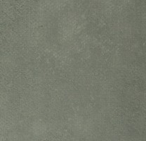 Линолеум 72423 (Forbo Emerald Standart)