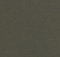 Натуральный линолеум 3376 Peat (Forbo Marmoleum Walton)