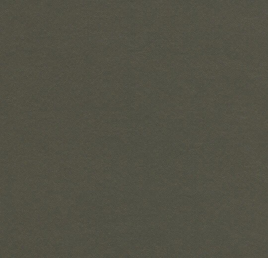 Натуральный линолеум 3376 Peat (Forbo Marmoleum Walton)