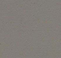 Натуральный линолеум 3589 Nori (Forbo Marmoleum Cocoa)