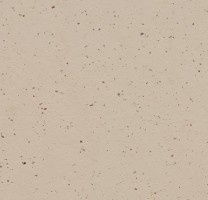 Натуральный линолеум 3590 Meringue (Forbo Marmoleum Cocoa)