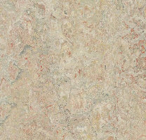 Натуральный линолеум 3427 Agate (Forbo Marmoleum Vivace)