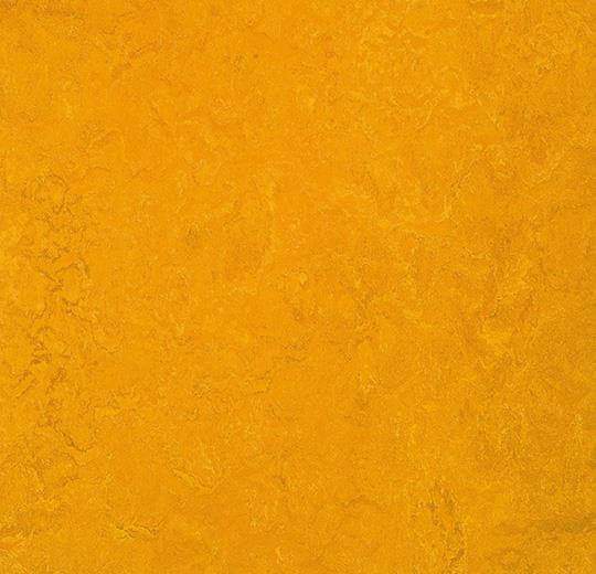  Натуральный линолеум 3125 golden sunset (Forbo Marmoleum Fresco), м²