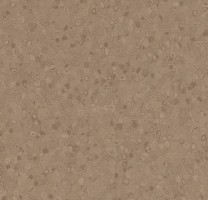 Линолеум Forbo Sphera Element 50025 earth