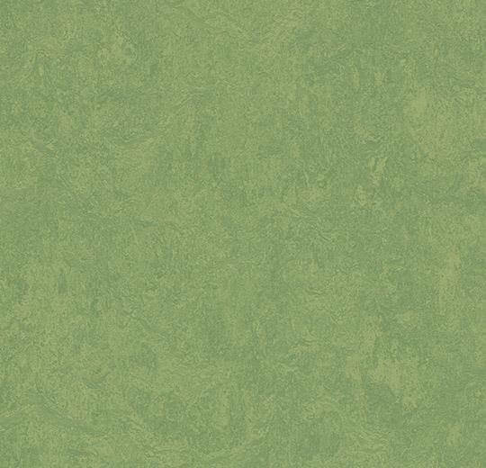  Натуральный линолеум 3260 leaf (Forbo Marmoleum Fresco), м²