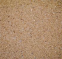 Линолеум 5534 (Forbo Emerald Spectra)