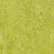 Натуральный линолеум 3224 chartreuse (Forbo Marmoleum Real), м²