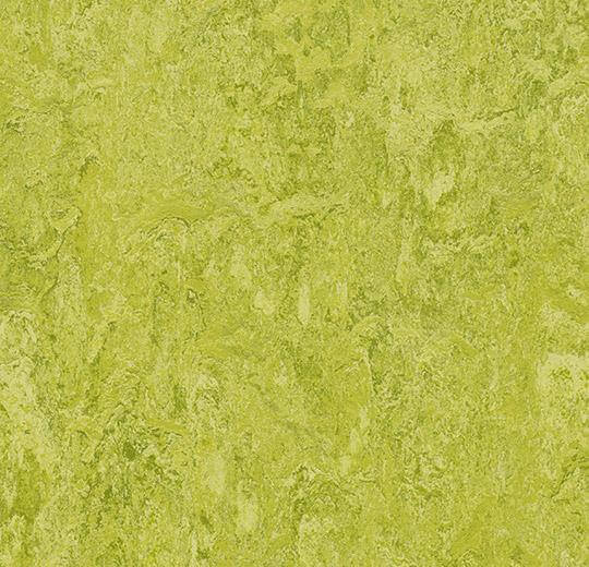 Натуральный линолеум 3224 Chartreuse (Forbo Marmoleum Real)