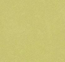 Натуральный линолеум 3885 Spring Buds (Forbo Marmoleum Fresco)