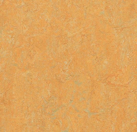 Натуральный линолеум 3847 golden saffron (Forbo Marmoleum Real), м²